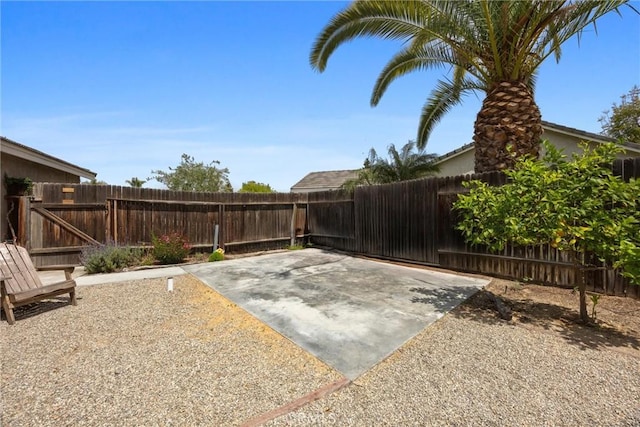 view of yard with a patio area and a fenced backyard