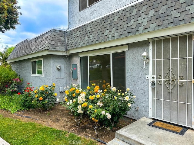 view of exterior entry featuring stucco siding, a shingled roof, and mansard roof