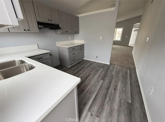 kitchen featuring a sink, gray cabinets, baseboards, under cabinet range hood, and dark wood-style floors