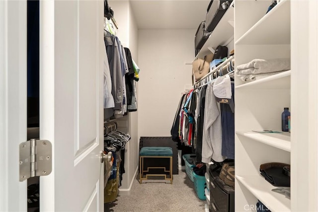 2958 Beaumont Ave, Chico, CA 95928 - spacious closet with carpet flooring
