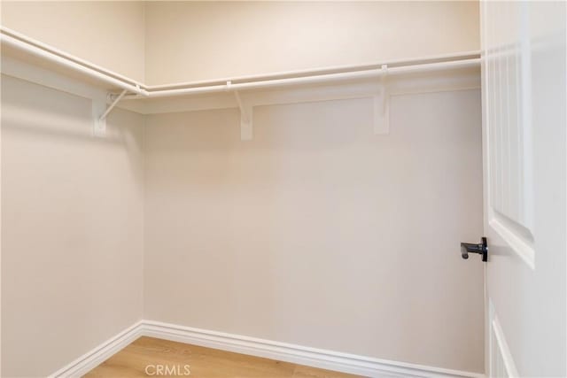 33827 Flora Springs St, Temecula, CA 92592 - walk in closet with light wood-style flooring