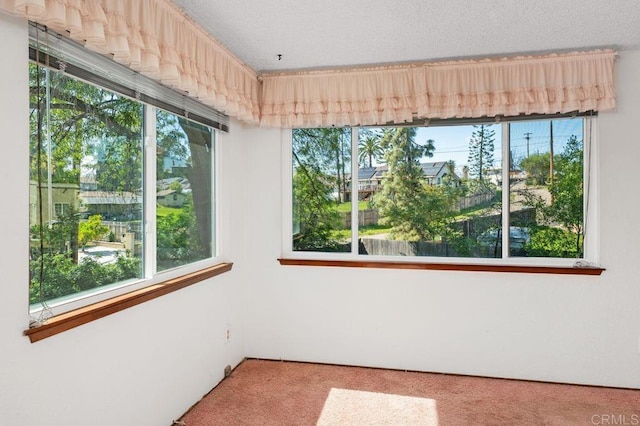 carpeted spare room featuring a textured ceiling and a healthy amount of sunlight