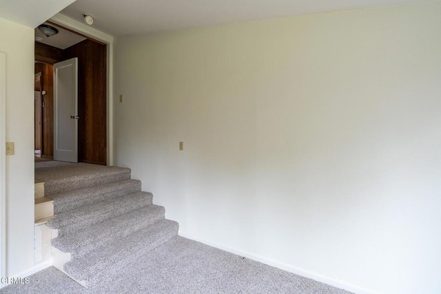 stairway with carpet