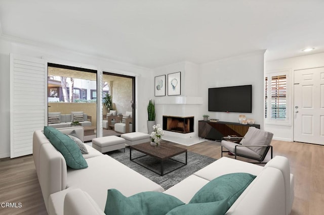 living area with crown molding, wood finished floors, and a fireplace