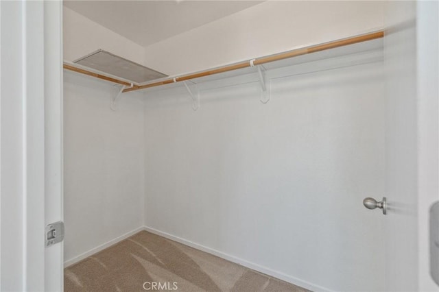 spacious closet featuring light carpet