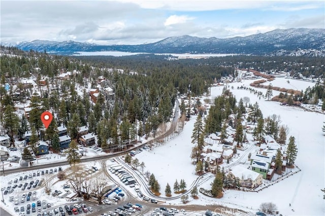 1274 Clubview Dr, Big Bear Lake, CA 92315 - photo 24