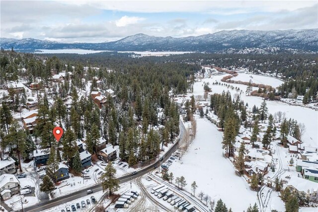 1274 Clubview Dr, Big Bear Lake, CA 92315 - photo 23
