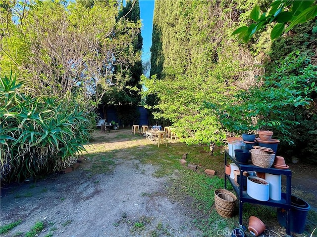 3704 Hellman Ave, Los Angeles, CA 90032 - view of yard