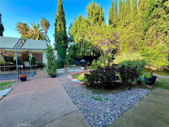 3704 Hellman Ave, Los Angeles, CA 90032 - view of yard with a patio area