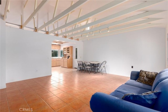 20095 Gustin Rd, Perris, CA 92570 - living room featuring a towering ceiling and light tile patterned flooring