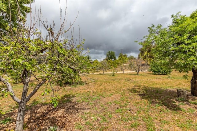 20095 Gustin Rd, Perris, CA 92570 - view of yard