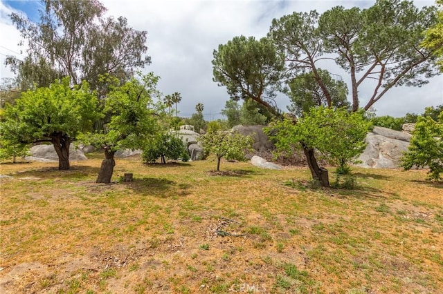 20095 Gustin Rd, Perris, CA 92570 - view of yard