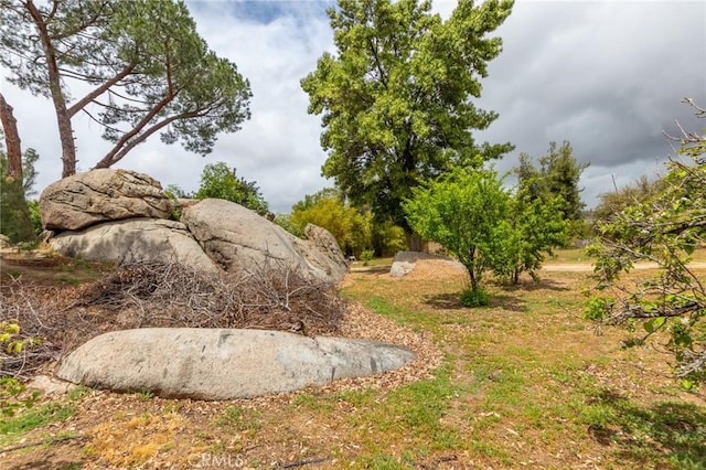 20095 Gustin Rd, Perris, CA 92570 - view of yard