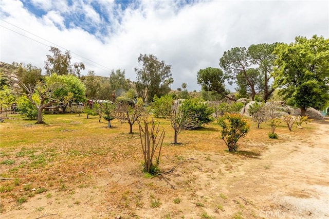 20095 Gustin Rd, Perris, CA 92570 - view of local wilderness