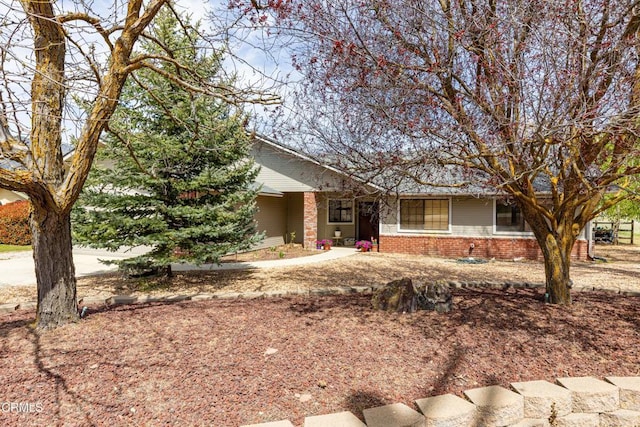 ranch-style house with brick siding