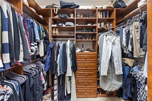 view of spacious closet