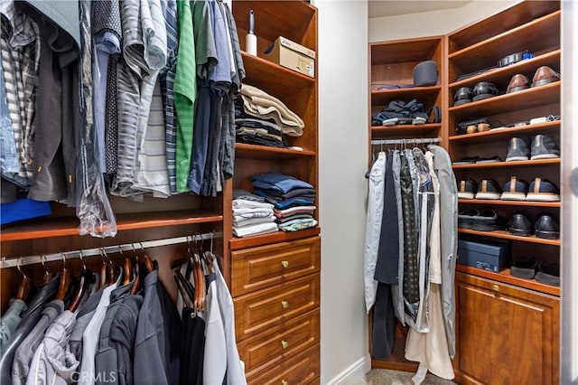 view of spacious closet