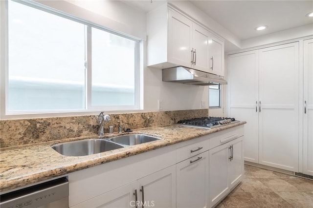 300302 S Bayfront, Newport Beach, CA 92662 - kitchen featuring light stone countertops, stainless steel appliances, under cabinet range hood, a sink, and white cabinetry