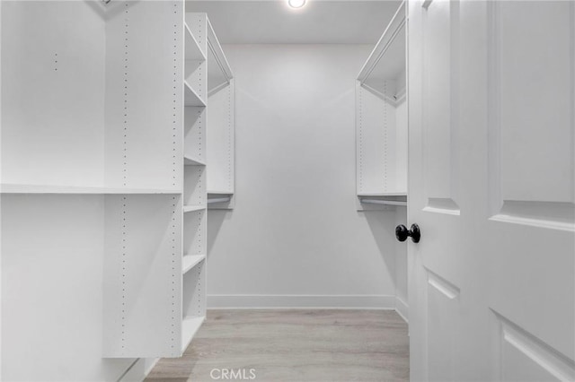 20500 Blairmoore St, Chatsworth, CA 91311 - walk in closet featuring light wood-style flooring and attic access
