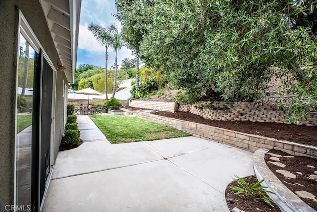 view of yard featuring outdoor dining area, fence private yard, and a patio area