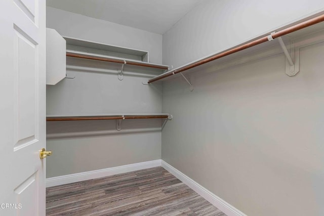 walk in closet with wood finished floors