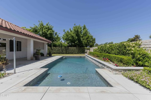 view of pool with a patio, a fenced backyard, and a fenced in pool