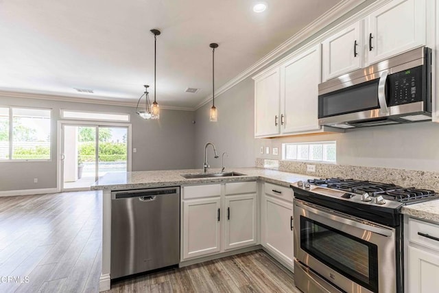 kitchen featuring a healthy amount of sunlight, stainless steel appliances, ornamental molding, and a sink