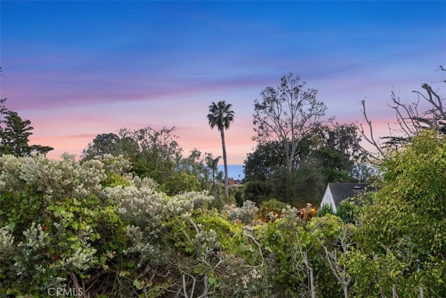 421 High Dr, Laguna Beach, CA 92651 - view of nature at dusk