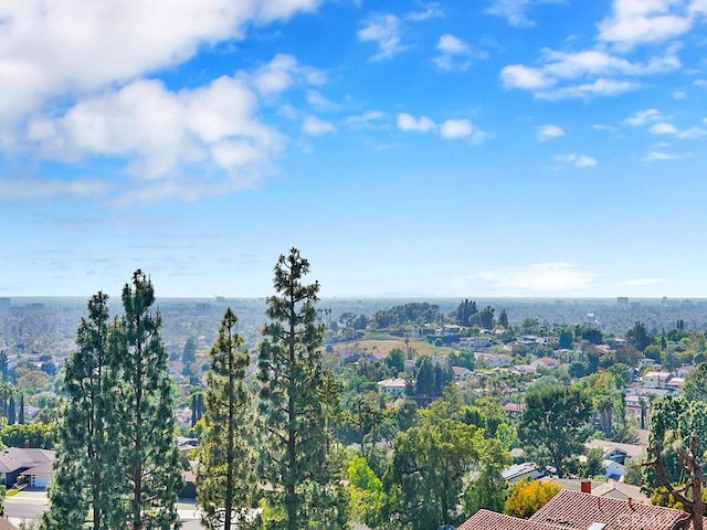10841 Hideaway Dr, North Tustin, CA 92705 - photo 17