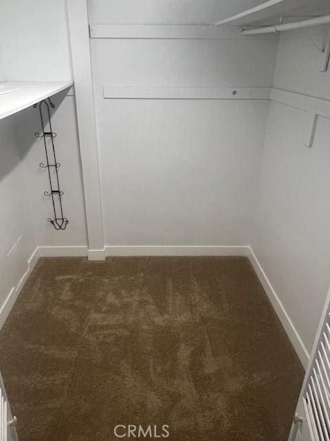 32679 Seagate Dr Unit 308-H, Rancho Palos Verdes, CA 90275 - walk in closet with dark colored carpet