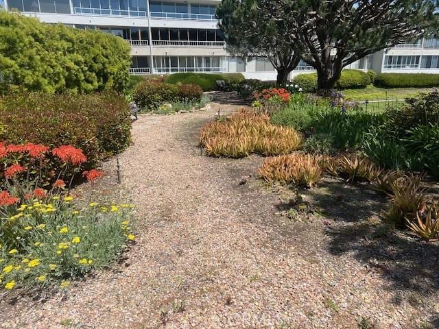 32679 Seagate Dr Unit 308-H, Rancho Palos Verdes, CA 90275 - view of yard