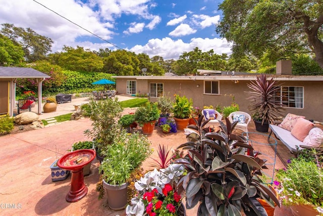 back of property featuring a patio, stucco siding, and a chimney