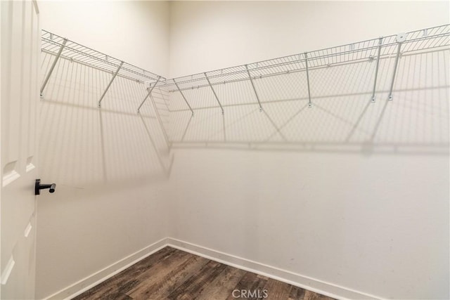 spacious closet with dark wood-style flooring
