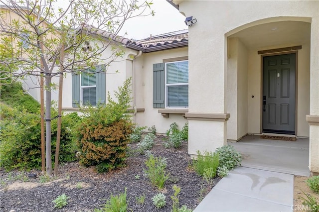 property entrance featuring a tile roof and stucco siding