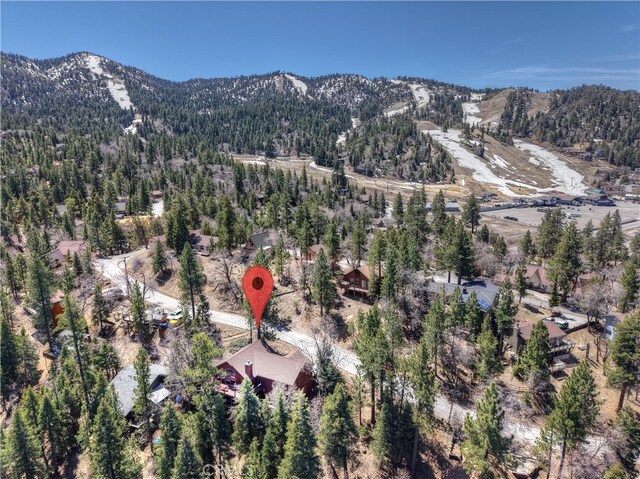 43336 Shasta Rd, Big Bear Lake, CA 92315 - photo 2