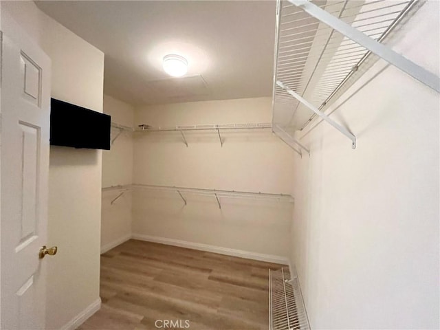 22810 Mountain Ash Cir, Corona, CA 92883 - walk in closet with visible vents and wood finished floors
