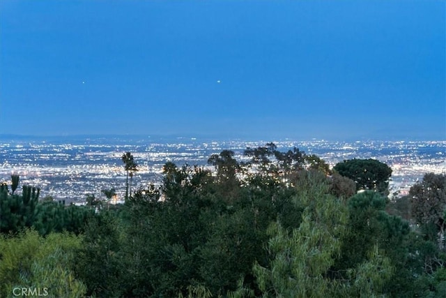 12 Bowie Rd, Rolling Hills, CA 90274 - city view