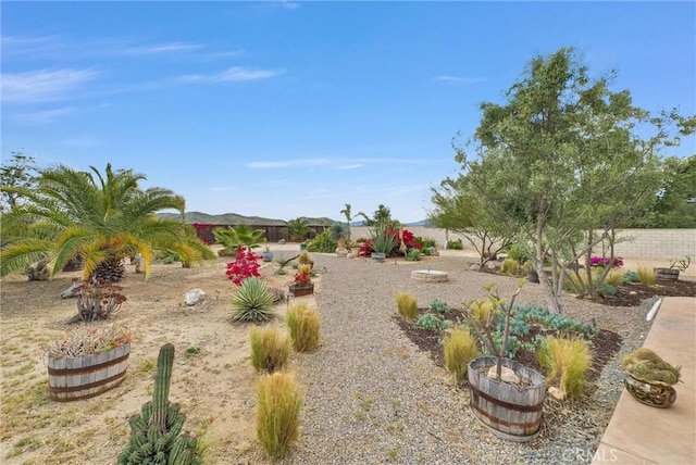 19069 Eldorado Rd, Perris, CA 92570 - view of fenced backyard