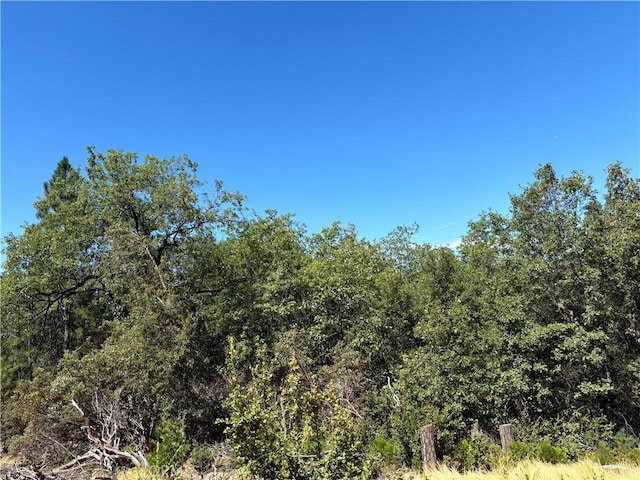 0 Wildcat Ridge Rd, Sonora CA, 95370 land for sale