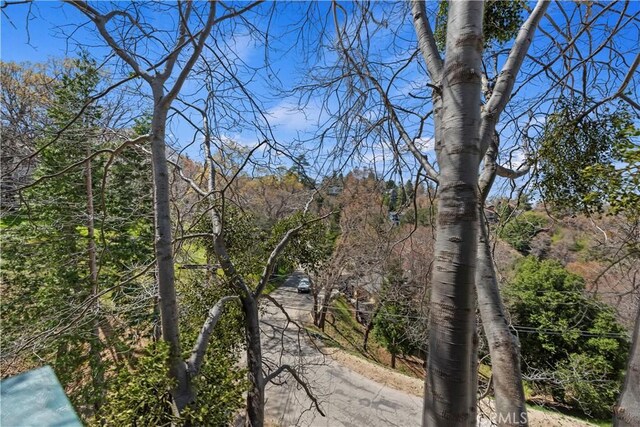 view of local wilderness with a wooded view