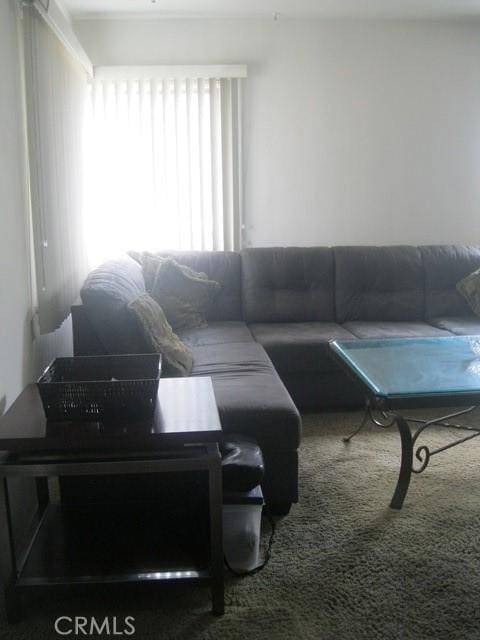 2927 S Genesee Ave, Los Angeles, CA 90016 - view of carpeted living area