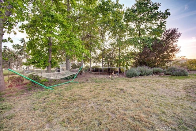 1160 Easy Ln, Nipomo, CA 93444 - view of yard