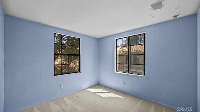 unfurnished room with carpet floors