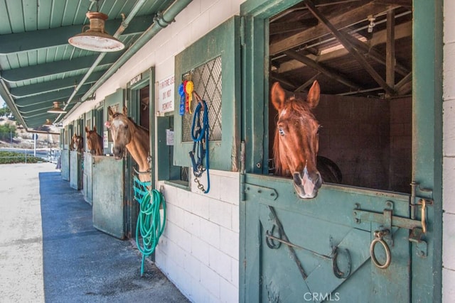124 Via Estrada Unit D, Laguna Woods, CA 92637 - view of horse barn