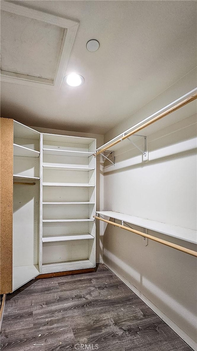 spacious closet featuring dark wood-style floors
