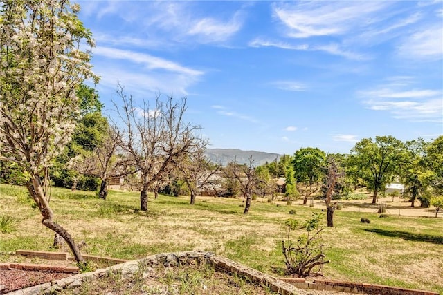 710 Clearlake Ave, Lakeport, CA 95453 - photo 23