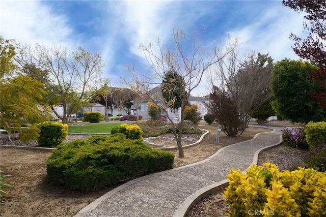 4527 Kapalua Dr, Santa Maria, CA 93455 - photo 47
