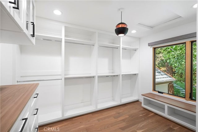 1935 Maverick Ln, North Tustin, CA 92705 - spacious closet featuring attic access and wood finished floors
