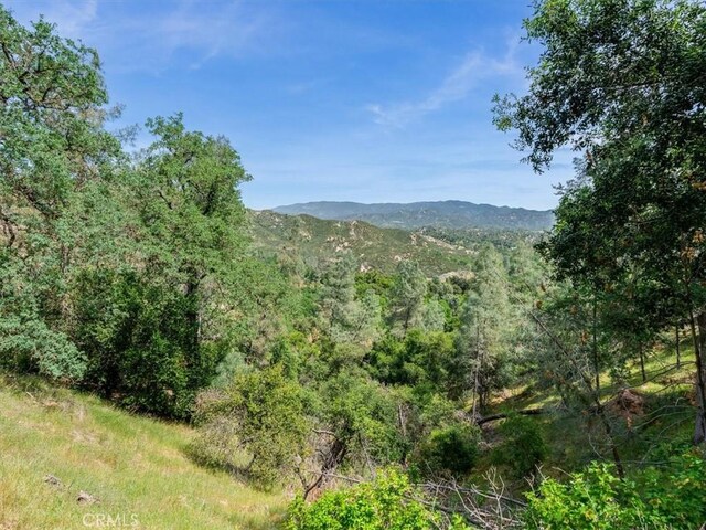 1535 Parkhill Rd, Santa Margarita, CA 93453 - photo 46