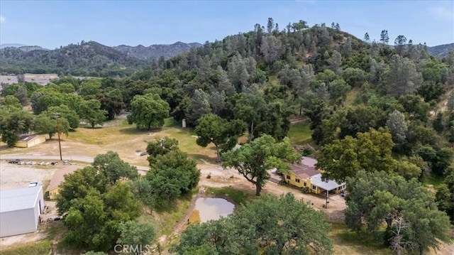 1535 Parkhill Rd, Santa Margarita, CA 93453 - photo 33